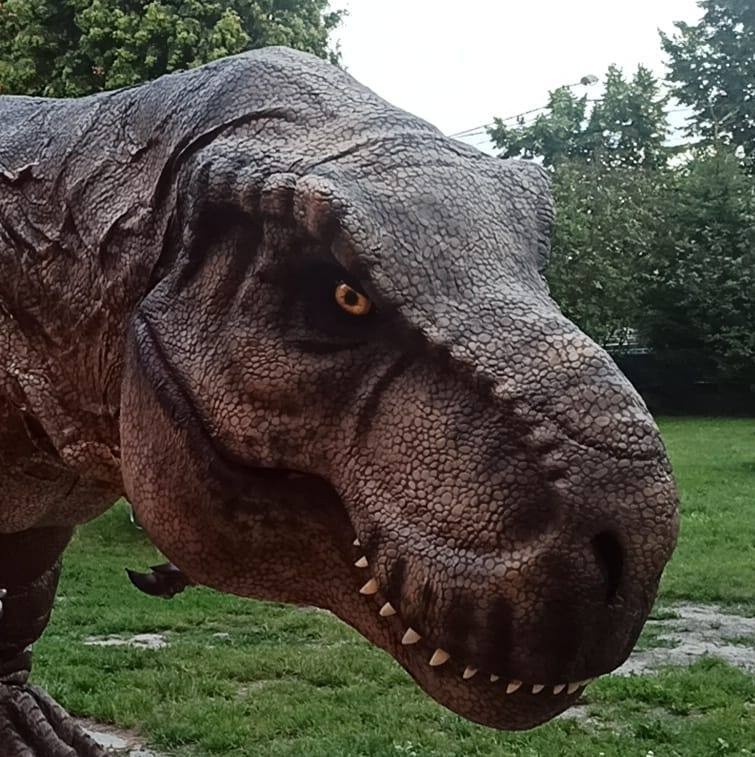 Dinozaur, którego można spotkać w Sosnowcu i Mysłowicach...
