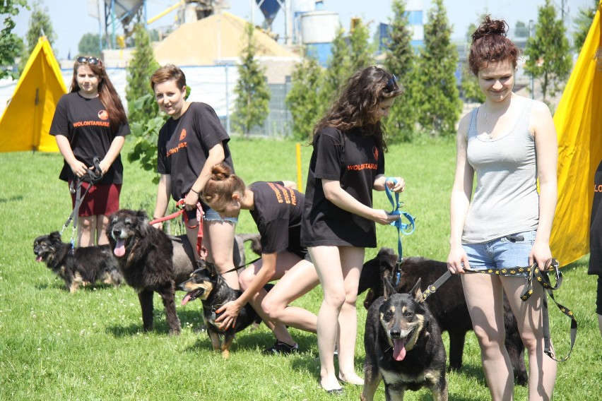 Dzień otwarty w Schronisku dla Zwierząt