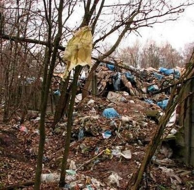 Zdjęcie dostarczone przez Stowarzyszenie Zielona Trzebinia wskazuje, że składowisko nie mieści się w granicach. Śmieci są już za płotem. FOT. ZIELONA TRZEBINIA