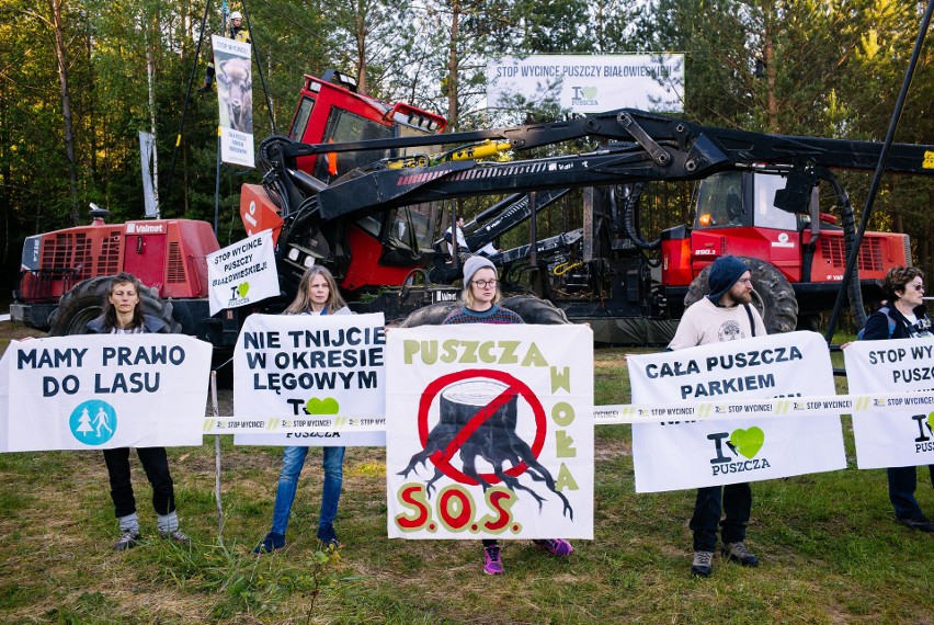 Trwa trzecia blokada wycinki w Puszczy Białowieskiej (zdjęcia)