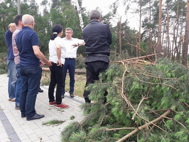 Obraz zniszczeń lasu pod Rudami najlepiej widoczny jest z helikoptera