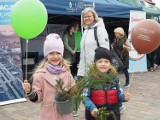 Akcja "Drzewko za surowce wtórne" w sobotę 6 maja w Tomaszowie Mazowieckim. Leśnicy rozdawali sadzonek drzew!