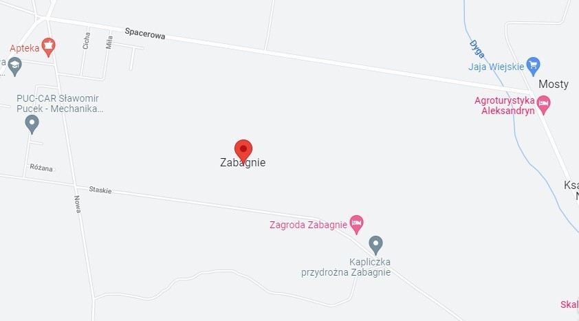 Zabagnie – wieś w Polsce położona w województwie...