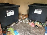 Ze śmieciami wciąż są problemy. Nawet 7 mln osób unika opłat za wywóz odpadów? Resort klimatu uspokaja