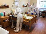 Koronawirus w Czechach: Spada liczba zakażeń Covid-19. Władze uchyliły część obostrzeń spowodowanych przez pandemię
