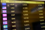 Euro, dolary, funty, jeny... Gdzie najlepiej można wymienić walutę? Zobacz przygotowany przez nas ranking kantorów w Lublinie