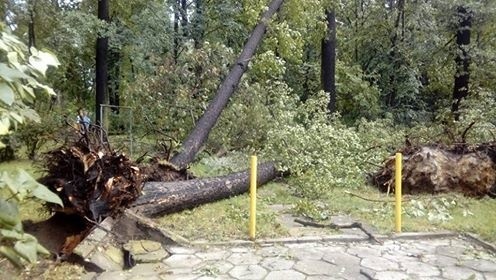 Burza w Łodzi. Nawałnica nad Łodzią. Powalone drzewa, gałęzie na drogach, zalane ulice [ZDJĘCIA]