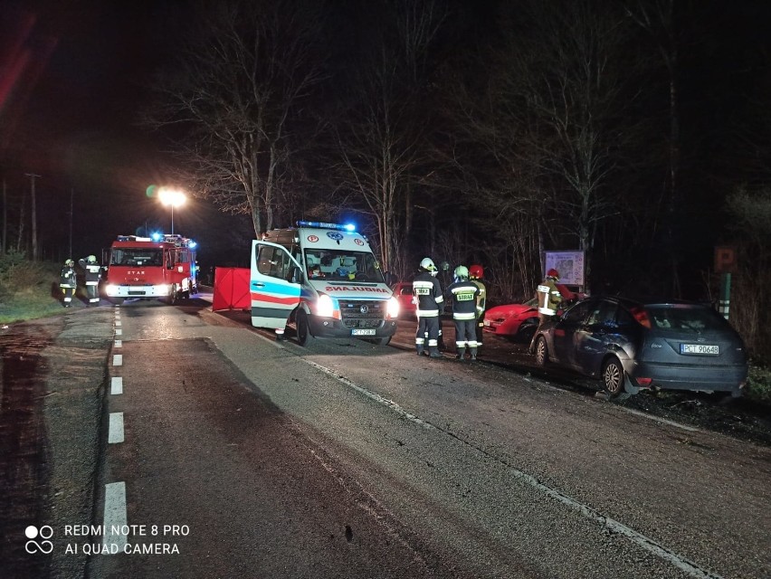 Śmiertelny wypadek pod Wieleniem. Auto uderzyło w drzewo i złamało się na pół