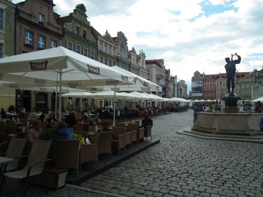 Od 1 kwietnia na Starym Rynku znowu będą mogły pojawić się...