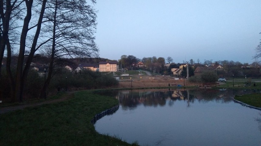 Modlnica. Wielkie sprzątanie wioski. Mieszkańcy oczyścili park i posadzili kwiaty