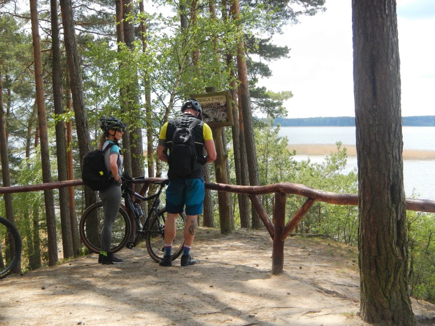 Park Narodowy „Bory Tucholskie” spogląda na Jezioro Charzykowskie