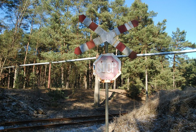 Okolice składowiska Zielona na terenie dawnego Zachemu