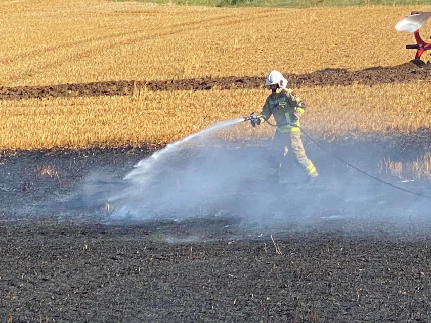 Pożar ścierniska w miejscowości Poganice