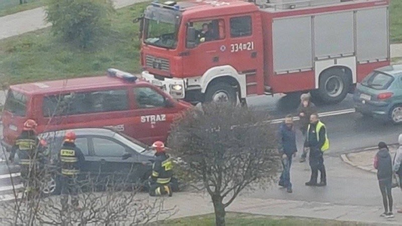 Pionki. Agresywny bóbr na ulicy Kozienickiej. Zatamował ruch, interweniowała policja