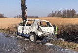 Krzyżewko. Samochód uderzył w drzewo i doszczętnie spłonął (zdjęcia)
