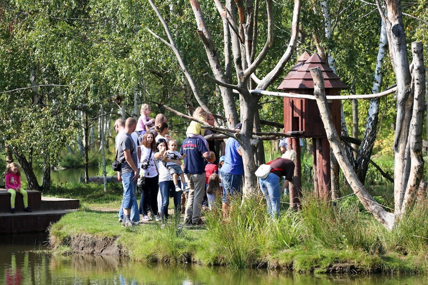 Zwiedzanie ZOO w Dolinie Charlotty podczas Święta Samorządów...