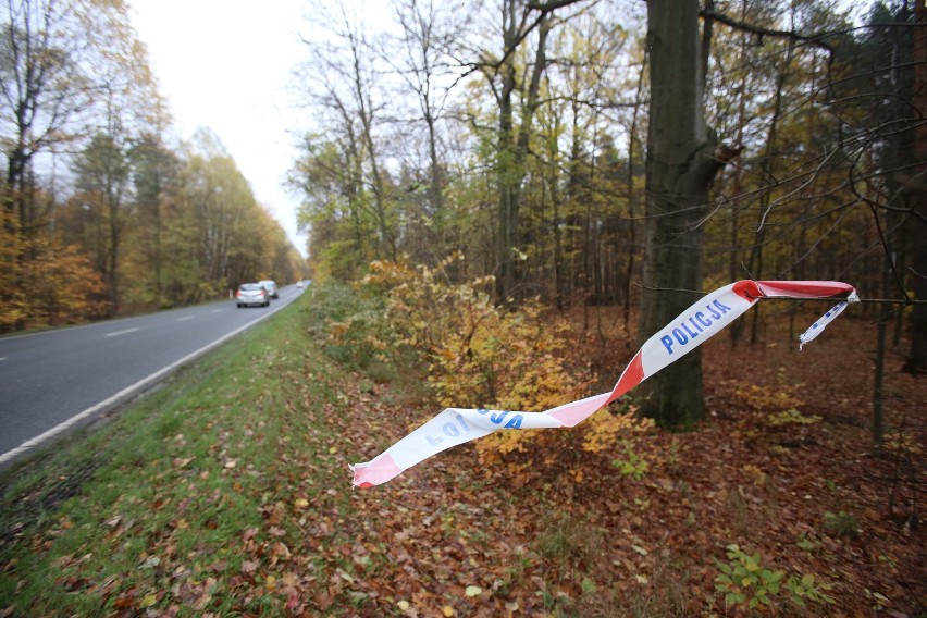 Zabójstwo w lesie przy Szarych Szeregów w Katowice