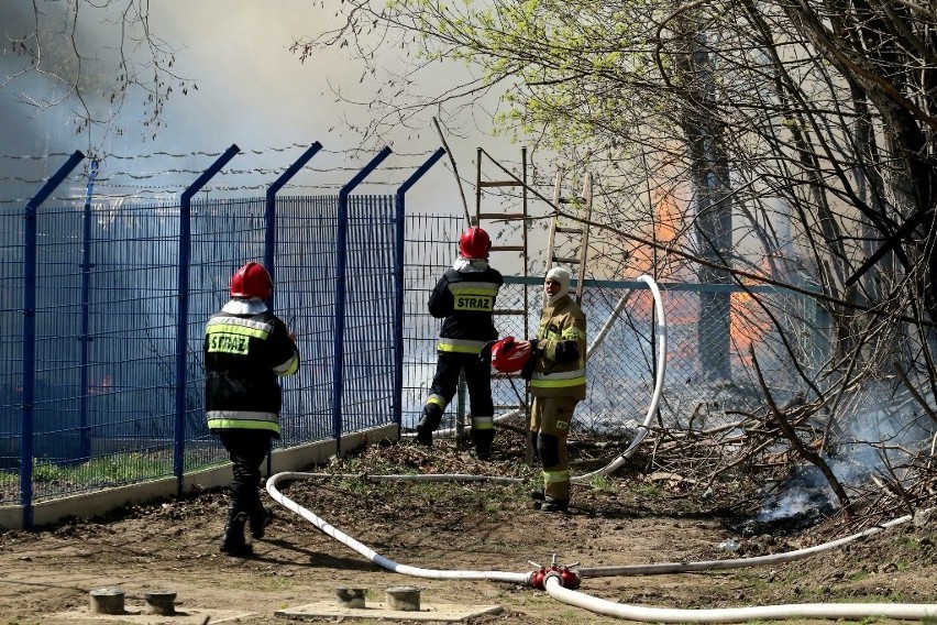 Pożar we Wrocławiu. Ogień przy ul. Bystrzyckiej. Dym widać z daleka [ZDJĘCIA]