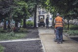 Katowice będą bardziej zielone. Rozpoczęły się prace w rejonie ulic Poniatowskiego i Mikołowskiej. Rozbudowany zostanie także plac zabaw 