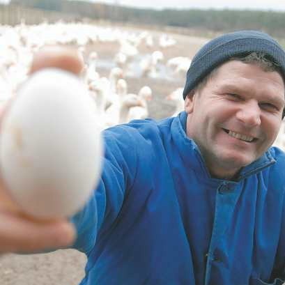 - Gęsie jajo waży od 13 do 22 gramów - demonstruje Tomasz Heinrich z Reklina