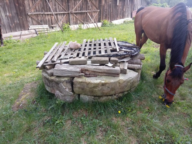 Z budynków dworskich w Królówce do obecnej chwili zachowały się ruiny letniego pałacyku z zabytkową studnią zbudowaną z kamienia z XIX wieku. 