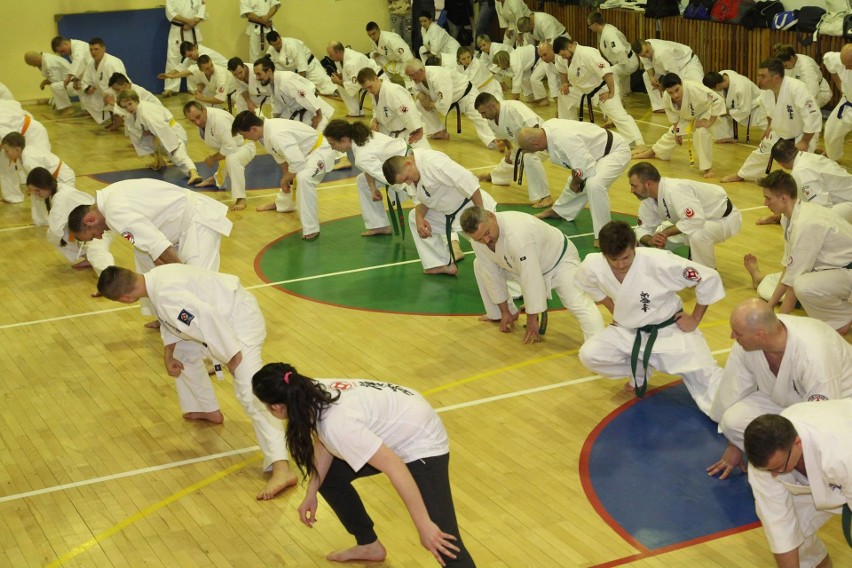 Udane egzaminy zawodników Kieleckiego Klubu Karate Kyokushin Koronea na stopnie mistrzowskie 