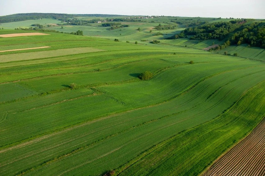 Jura Krakowsko-Częstochowska z lotu ptaka [ZDJĘCIA]