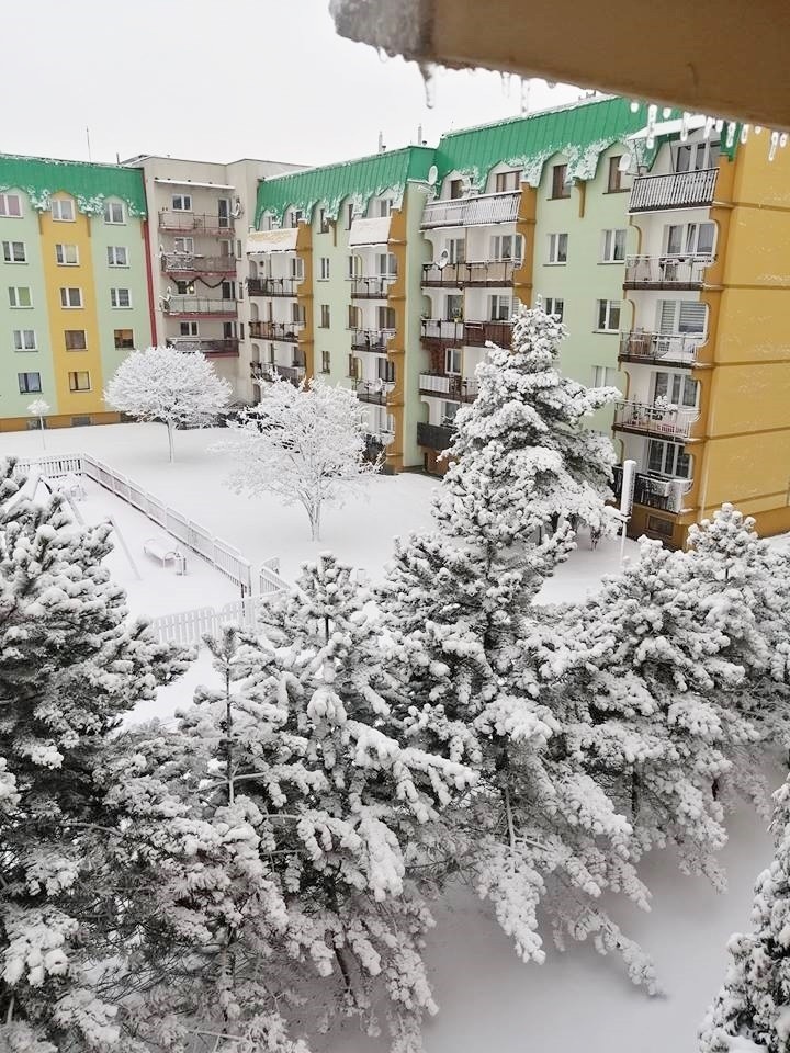 Śnieg zasypał miasta w woj. śląskim. Zobaczcie zdjęcia...