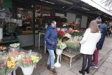 Dzień Kobiet w Łodzi: po ile tulipany, a po ile róże w kwiaciarniach? CENY kwiatów przed 8 marca w Łodzi