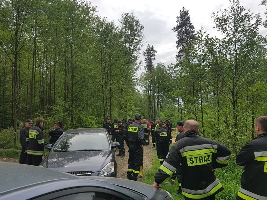 Tragiczny finał poszukiwań Dominika Wernikowskiego. Ciało młodego mężczyzny odnaleziono w lesie w Bachowicach [ZDJĘCIA]