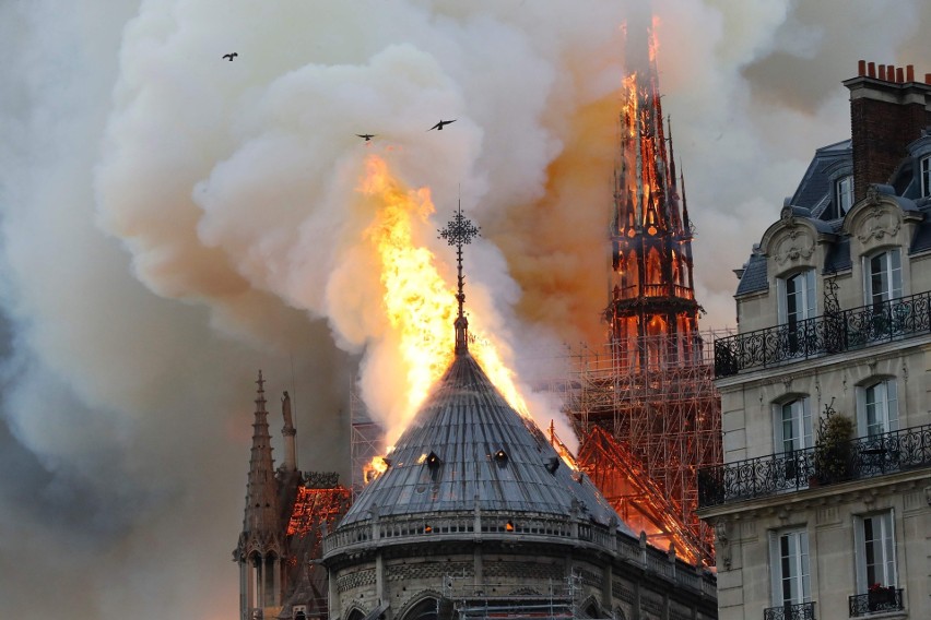 W poniedziałek w Paryżu spłonęła Katedrę Notre-Dame. Jeden z...
