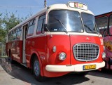 Gutek z Lublina jedzie do stolicy na zlot zabytkowych autobusów