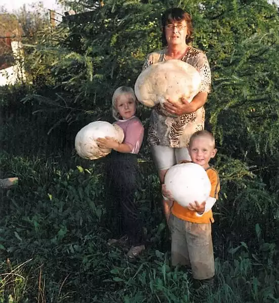 Babcia Barbara z wnukami. Samanta i Seba zerwali właśnie grzyby w przydomowym ogródku.