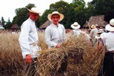 Podlasie skansenem? Omijają nas wszystkie poważne inwestycje. Żeby chronić przyrodę