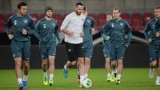 Mecz - Polska - Irlandia: Zobacz drużynę powołaną przez trenera Irlandii [SKŁAD IRLANDII]
