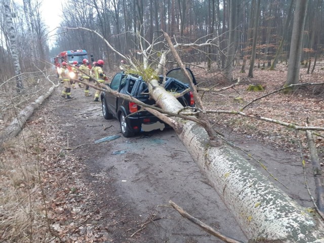 Do zdarzenia doszło w środę, 6 kwietnia w Trzciance, na dojeździe pożarowym w lesie. Strażacy z JRG Trzcianka na miejscu zastali przygnieciony drzewem samochód.Przejdź dalej -->