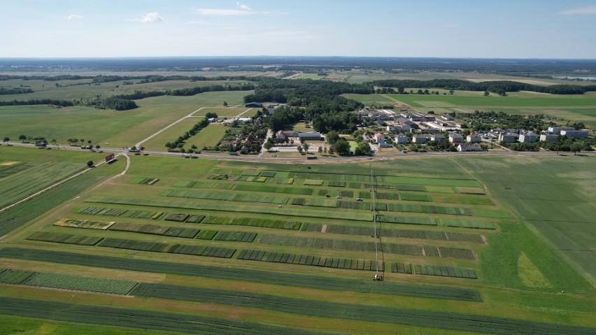 Tyle wydarzeń w Minikowie 2 i 3 lipca - Targi AGRO-TECH, Kujawsko-Pomorskie Dni Pola, ogólnopolska i regionalna wystawa zwierząt