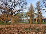 Kraków. Wyczekiwany park na terenie po motelu Krak: pojawiły się duże huśtawki i stoły piknikowe