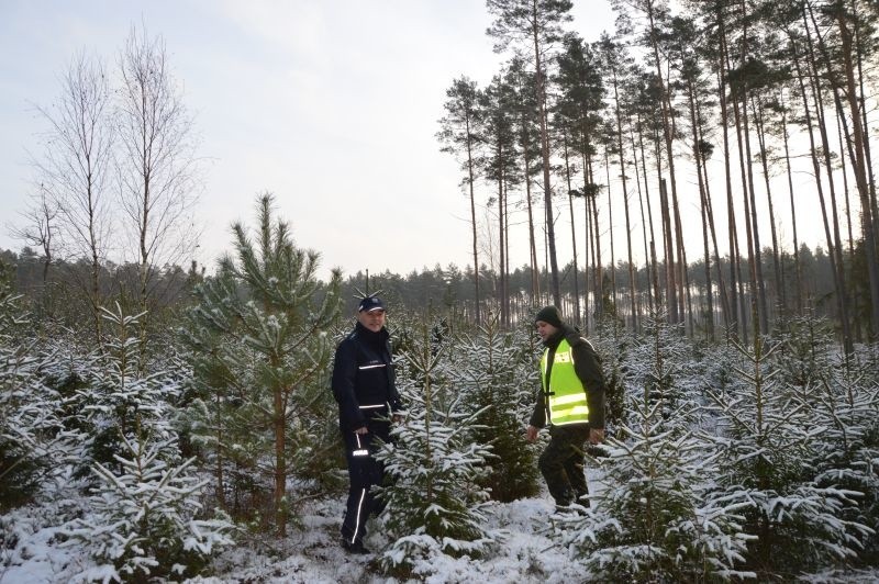 Akcja "Choinka" - duża akcja policji w całej Polsce potrwa...