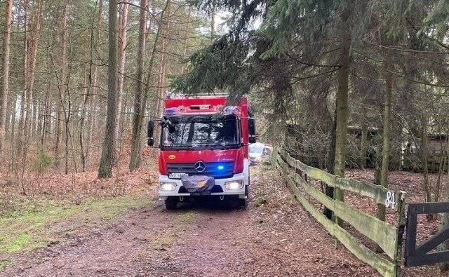 Jedzbark. Są wstępne wyniki sekcji zwłok mężczyzny, który został zawisł na drzewie. 14.01.2023 r.