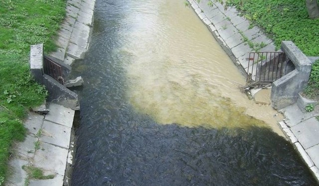 Zanieczyszczona woda w rzece Białej w 2011 roku