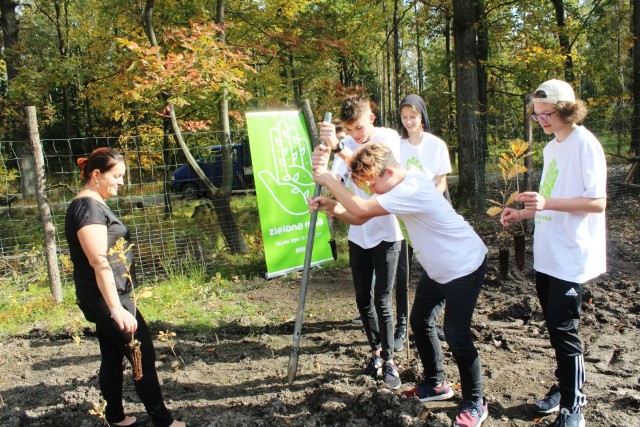 Ekolodzy Fundacji Ekologicznej Arka najpierw zbierają używane książki, by następnie rozdać je osobom i instytucjom, które posadzą drzewo