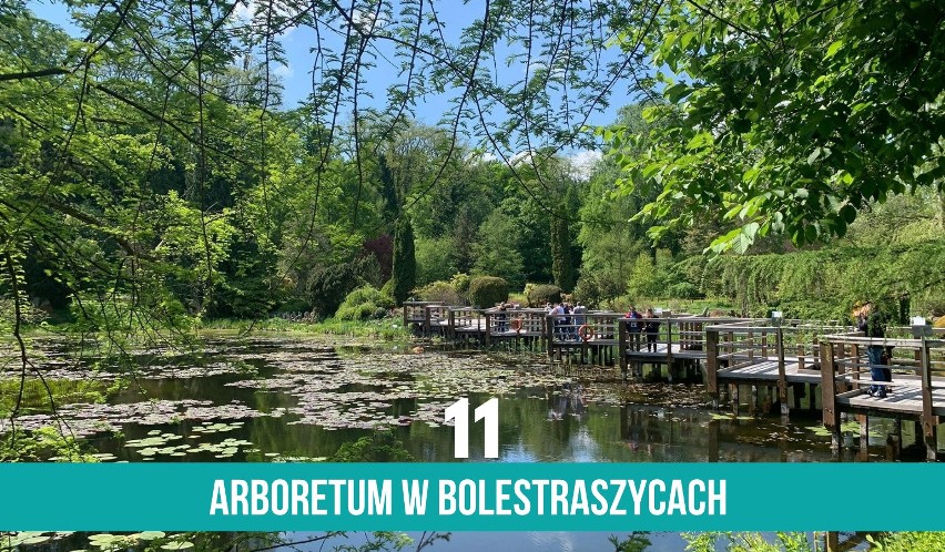 Arboretum w Bolestraszycach pod Przemyślem jest piękne o...