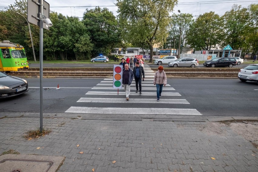 Piesi sami domagają się zapewnienia im bezpieczeństwa na...