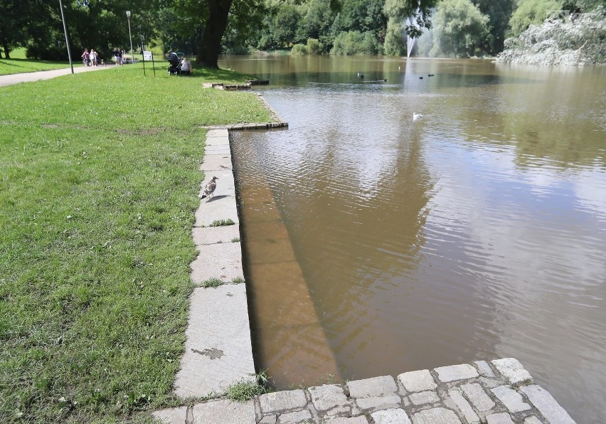 Po ostatnich ulewnych deszczach woda w Rusałce w parku...