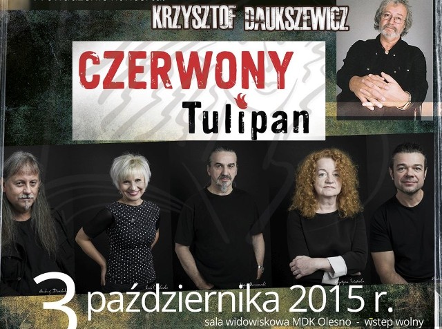O 21.00 rozpocznie się koncert gwiazdy wieczoru Czerwony Tulipan i Przyjaciele. Koncert ten poprowadzi Krzysztof Daukszewicz.