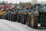 Będzie kolejny protest rolników w Łódzkiem. Rolnicy z całego regionu we wtorek zablokują traktorami drogę DK 74 między Sulejowem i Żarnowem