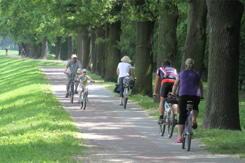 We Wrocławiu rowerzyści mają do dyspozycji ok. 1100 km tras...