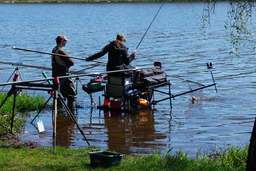 Młodzi wędkarze z całej Polski przyjechali nad zalew w Brodach. Złowili aż 400 kilogramów ryb, które... wróciły do wody. Zobacz zdjęcia 