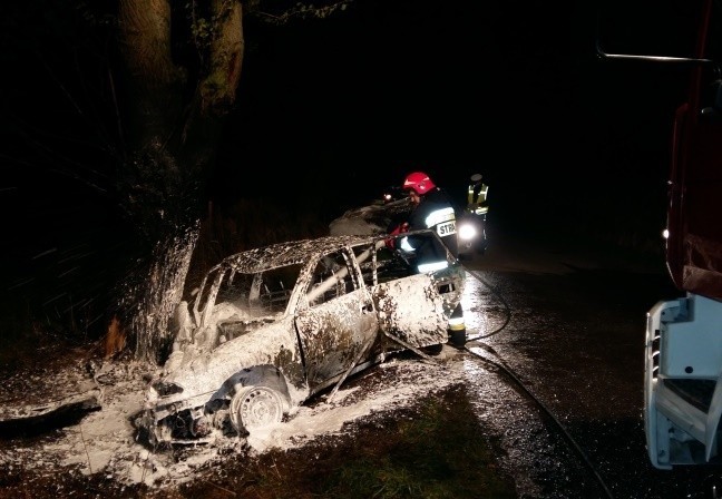 Wypadek w gminie Wojciechowice. Opel uderzył w drzewo i stanął w płomieniach